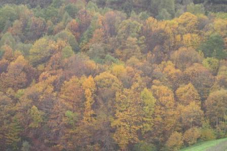Otoño