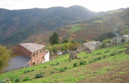 Illano