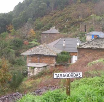 Tamagordas